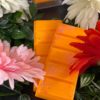 Soy Snap Bars by Mumma Moo's