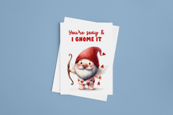 You're Sexy and I Gnome it 4